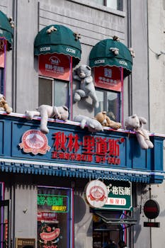 华尔街预警：AI带来的“创造性破坏”或将颠覆整家企业