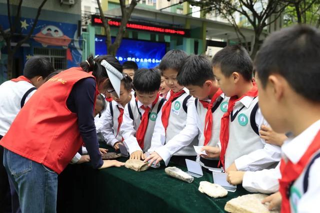  技术赋能科普教育：沙坪坝区第一实验小学的「古生物+地球日」融合教学实践深度解析 教育招生