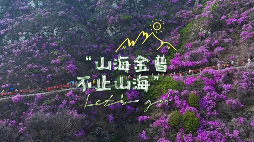  技术赋能文旅融合：大黑山杜鹃花海直播活动深度复盘 IT技术