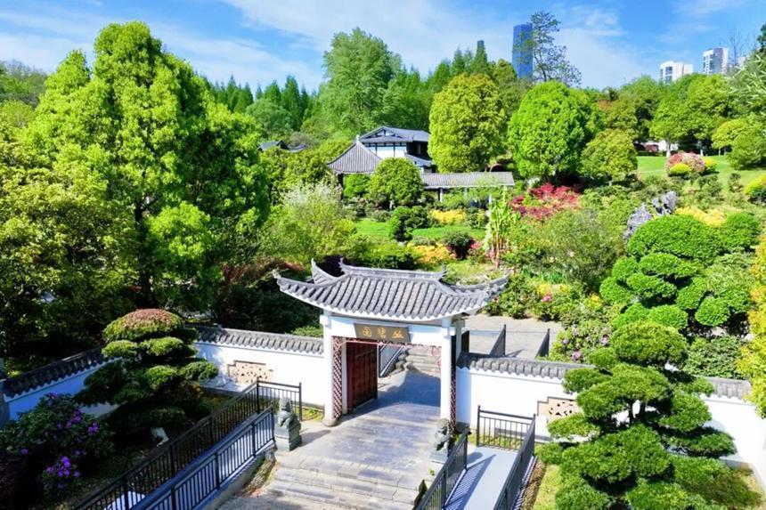  观山湖“莫奈花园”的园艺密码：60余种杜鹃如何编织春日画卷 文化旅游