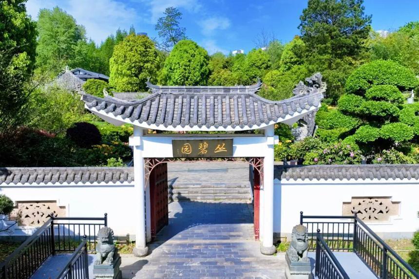  观山湖“莫奈花园”的园艺密码：60余种杜鹃如何编织春日画卷 文化旅游