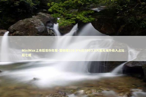 MiniMax上市后首份年报-营收增158.9%达7903.8万美元海外收入占比超七成 新闻