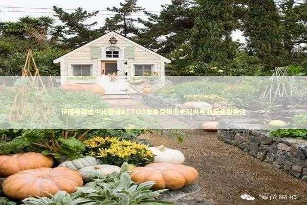伊朗导弹击中比亚迪ATTO3车身受损但未起火电池安全引关注 新闻