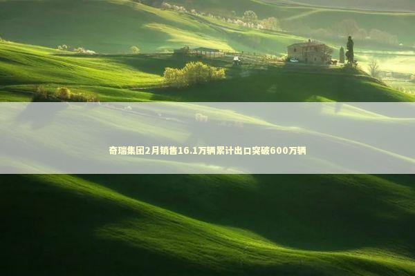 奇瑞集团2月销售16.1万辆累计出口突破600万辆 新闻