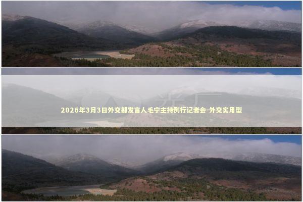 2026年3月3日外交部发言人毛宁主持例行记者会-外交实用型