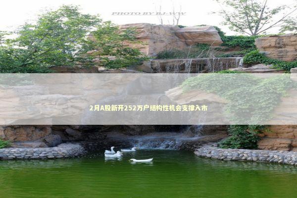 2月A股新开252万户结构性机会支撑入市 新闻