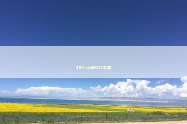 202-小米SU7事故 新闻