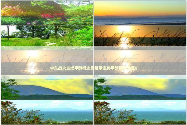 中东战火点燃甲醇概念股批量涨停甲醇期货大涨8 新闻