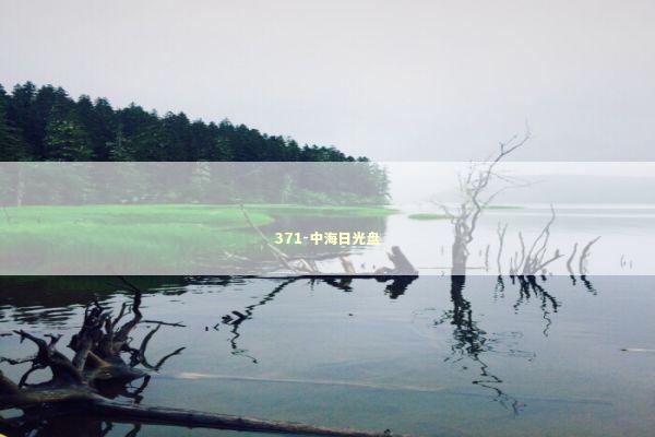 371-中海日光盘 新闻