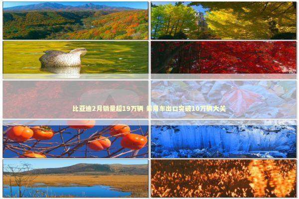 比亚迪2月销量超19万辆 乘用车出口突破10万辆大关 新闻