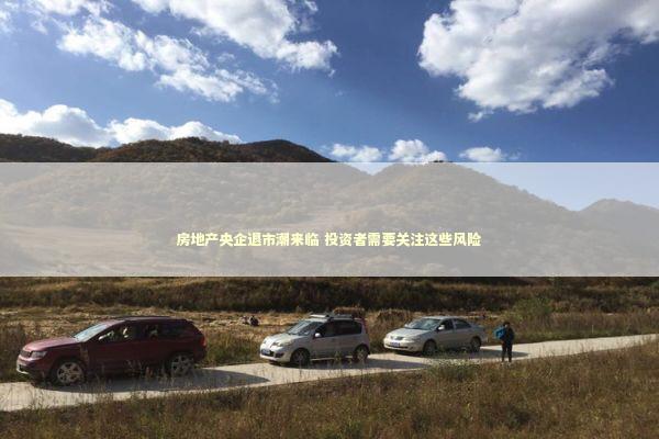 房地产央企退市潮来临 投资者需要关注这些风险