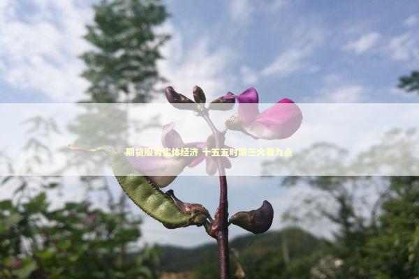 期货服务实体经济 十五五时期三大着力点
