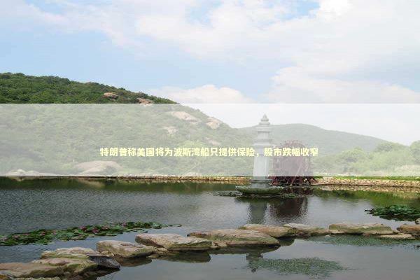 特朗普称美国将为波斯湾船只提供保险，股市跌幅收窄