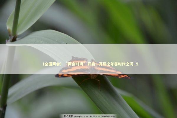 （全国两会）“两会时间”开启：开局之年答时代之问_5 新闻