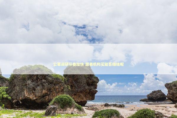 公募调研节奏加快 跟着机构买能否赚钱呢 新闻