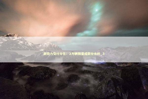 新势力交付分化：2万辆销量成新分水岭_3