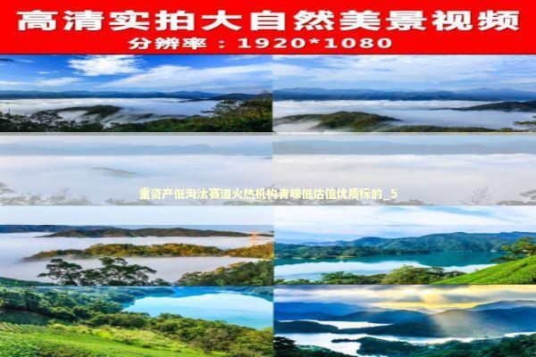重资产低淘汰赛道火热机构青睐低估值优质标的_5