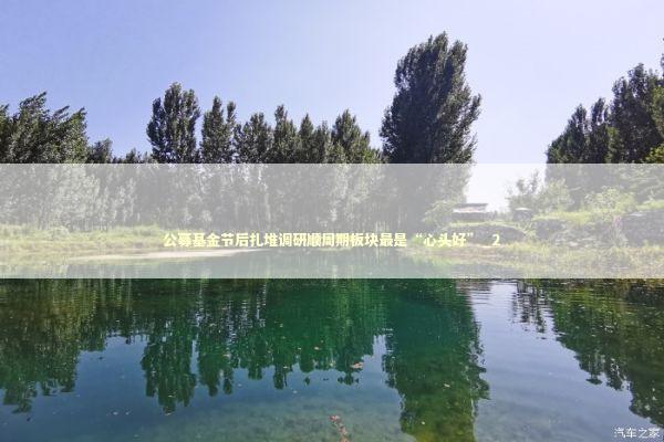 公募基金节后扎堆调研顺周期板块最是“心头好”_2 新闻