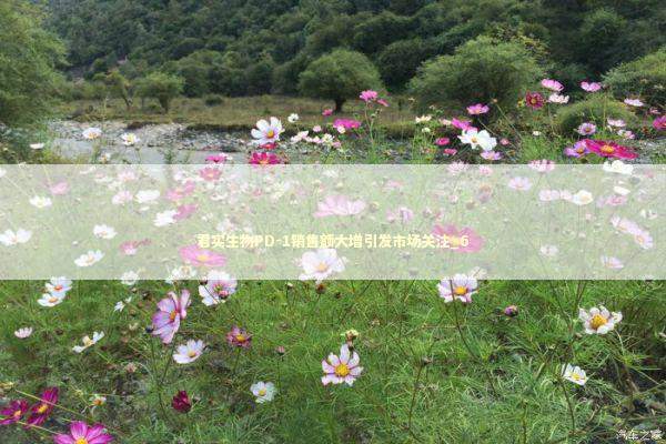 君实生物PD-1销售额大增引发市场关注_6 新闻