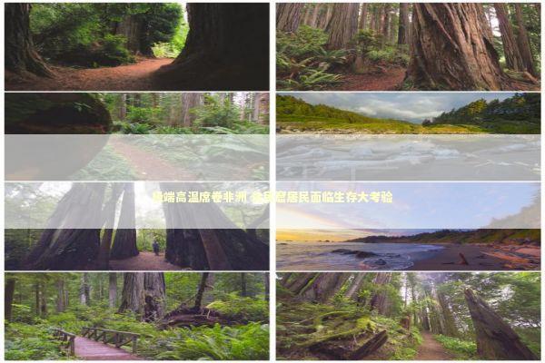 极端高温席卷非洲 贫民窟居民面临生存大考验 新闻