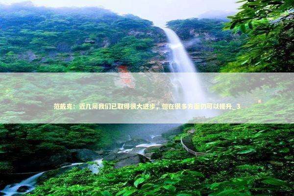 范戴克：近几周我们已取得很大进步，但在很多方面仍可以提升_3 新闻