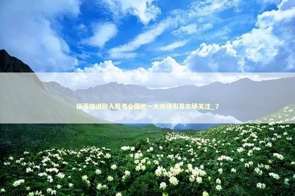 纵深推进融入服务全国统一大市场引发市场关注_7