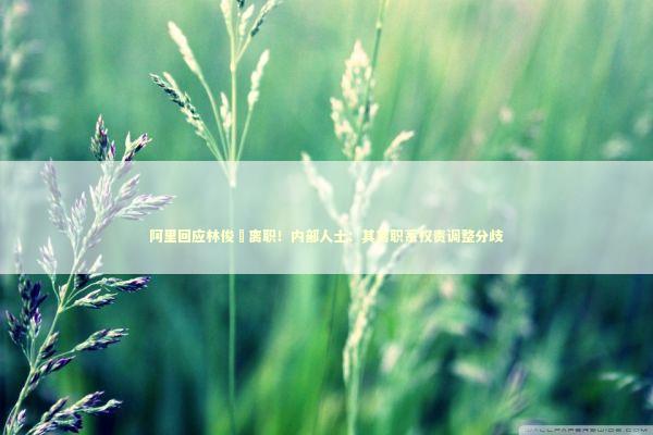 阿里回应林俊旸离职！内部人士：其离职系权责调整分歧 新闻