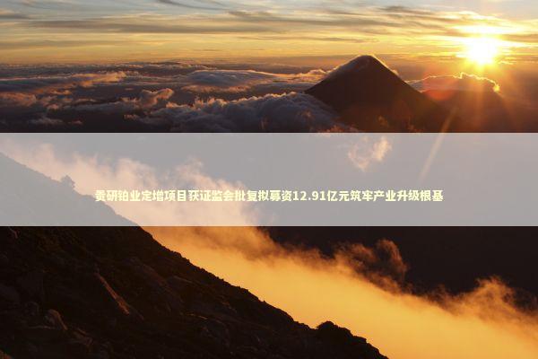 贵研铂业定增项目获证监会批复拟募资12.91亿元筑牢产业升级根基 新闻