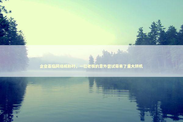 企业面临网络威胁时，一位老板的意外尝试带来了重大转机 新闻