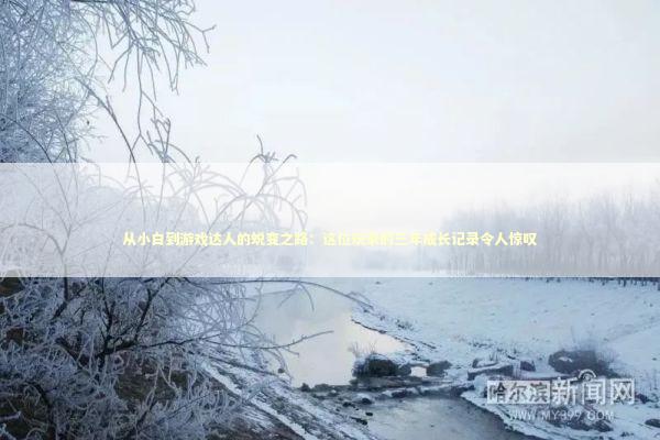 从小白到游戏达人的蜕变之路：这位玩家的三年成长记录令人惊叹