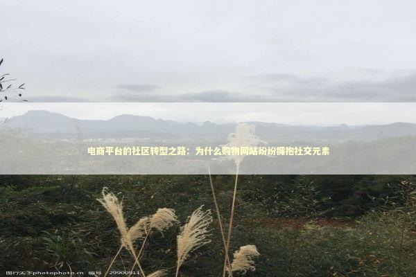 电商平台的社区转型之路：为什么购物网站纷纷拥抱社交元素 新闻