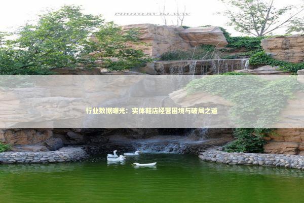 行业数据曝光：实体鞋店经营困境与破局之道 企业服务