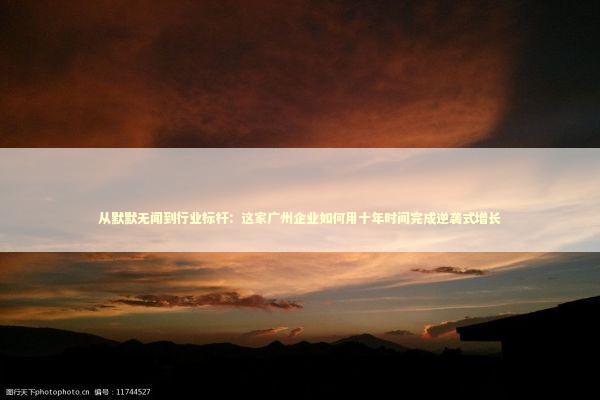从默默无闻到行业标杆：这家广州企业如何用十年时间完成逆袭式增长 企业服务